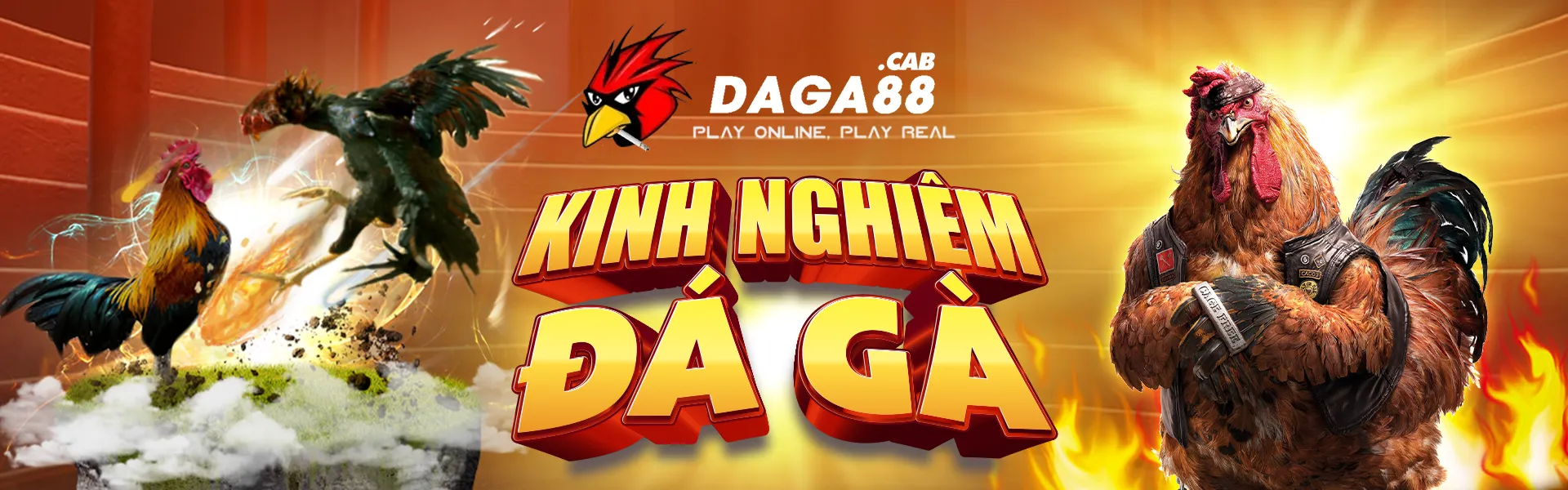 daga88 kinh nghiệm đá gà