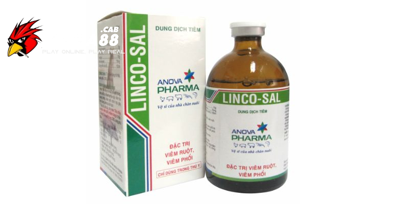 Thuốc sổ mũi Linco - sal được nhiều người sử dụng hiện nay